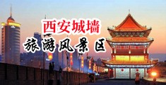 美女的小穴被操网站中国陕西-西安城墙旅游风景区