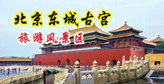 美女裸体美鲍视频中国北京-东城古宫旅游风景区